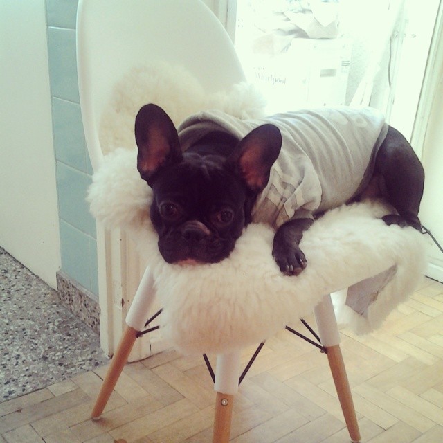 10169221_10152386530824000_6028874033834004413_n