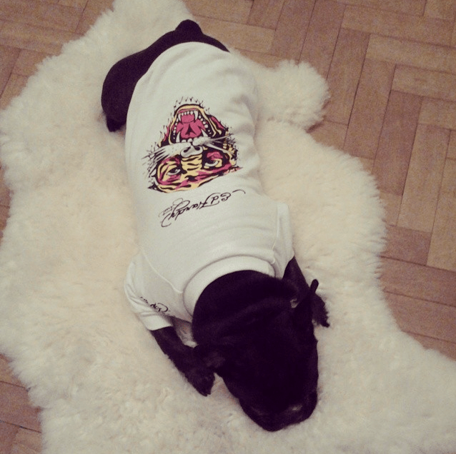 Captura de pantalla 2015-06-10 a la(s) 00.11.51