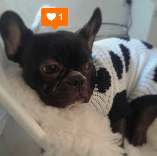 Captura de pantalla 2015-06-10 a la(s) 00.15.00