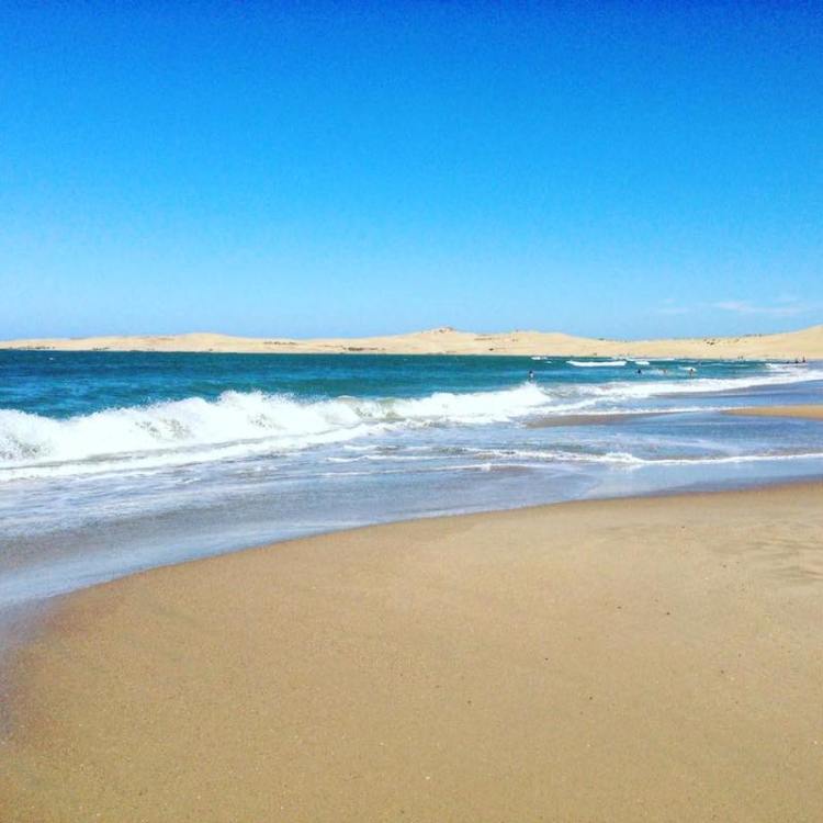 12400574_10153782931164000_2397971857569379831_n